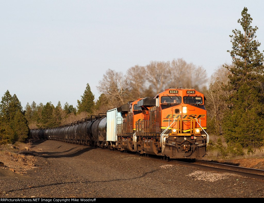 BNSF 8343